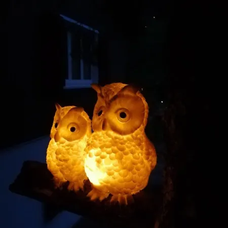 Bijou By Interhome *